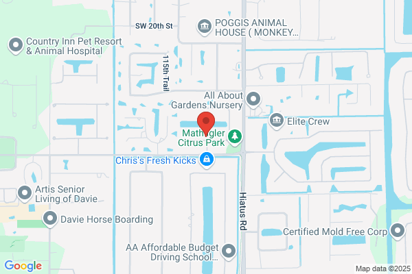CDC Financial Corporation