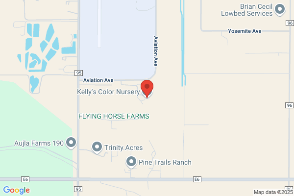 Kellys Color Nursery Inc