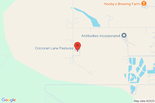 Corcoran Lane Pastures