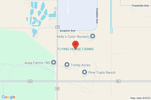 Flying Horse Farms