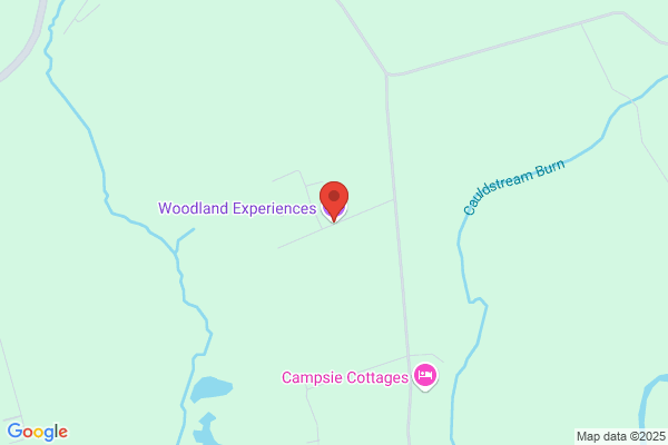 Experience Woodland