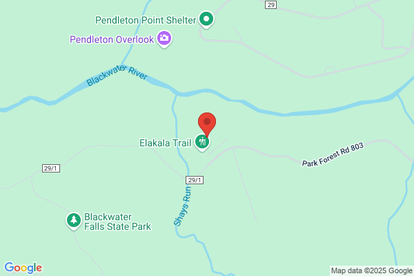 Blackwater Falls Campground