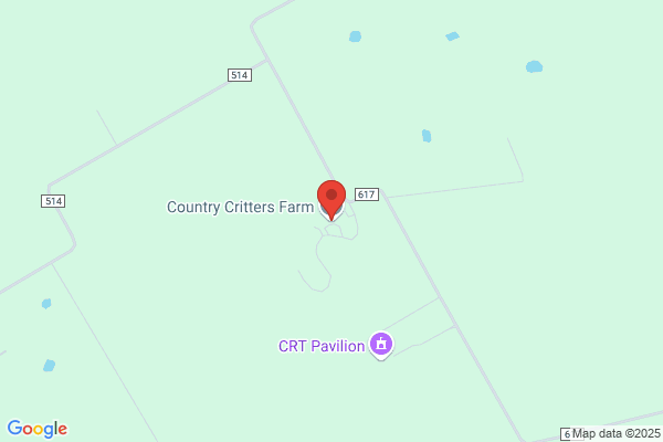 Country Critters Pony Rides & Petting Zoo