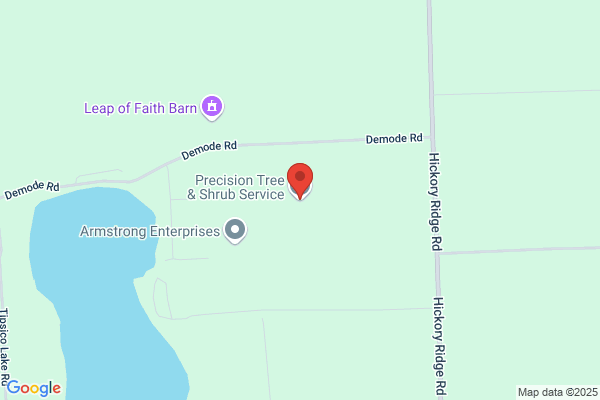Precision Tree & Shrub Service