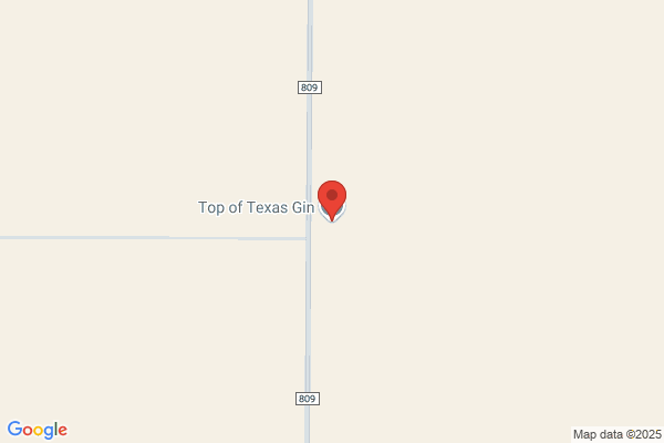 Top of Texas Gin