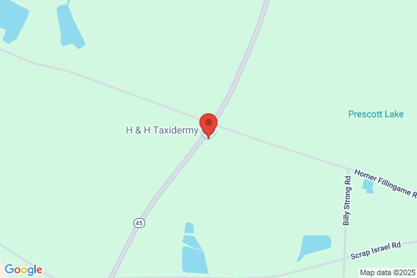 H & H Taxidermy