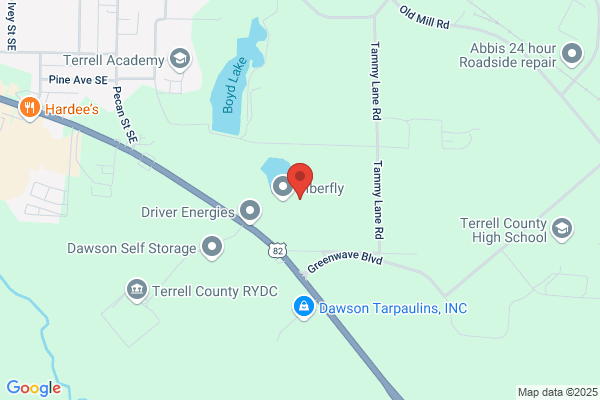 Electronyx, Inc.