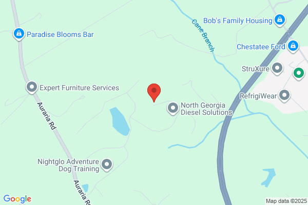 Home Dog Training of North Georgia