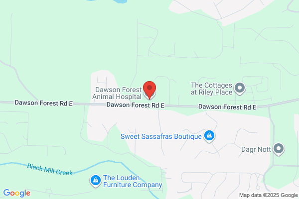 Dawson Forest Animal Hospital