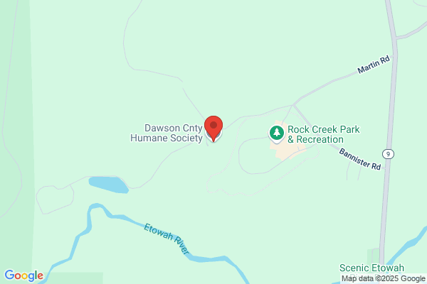 Dawsonville Dogs & Hogs Inc