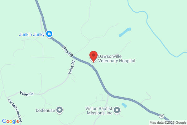 Dawsonville Veterinary Hospital