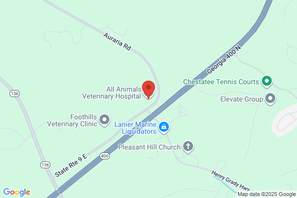 All Animals Veterinary Hospital