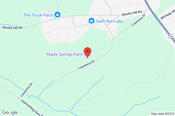 Maple Spring Farm Riding Center Inc