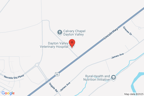 Dayton Valley Veterinary Hospital
