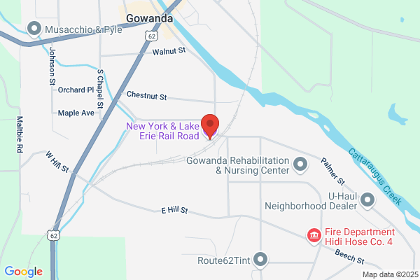 New York & Lake Erie RR, Excursion Trains
