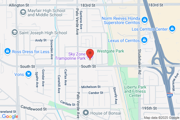 Sky Zone Trampoline Park