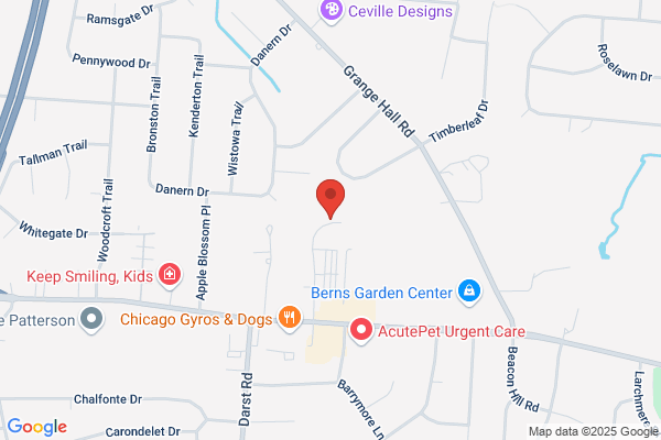 Brian Turner