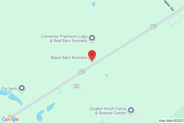 Balmorhea Kennels Inc