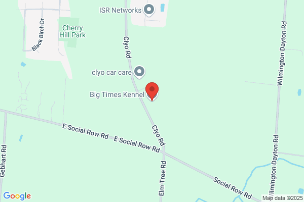 Big Times Kennel