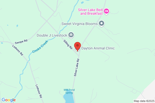 Dayton Veterinary Services
