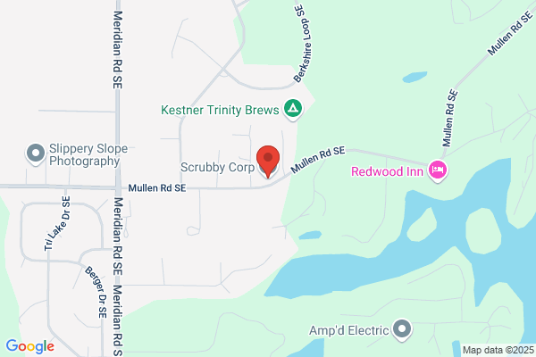 Scrubby Bees Quality Home Cleaning Co