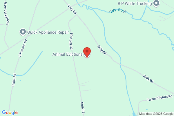 Animal Evictions