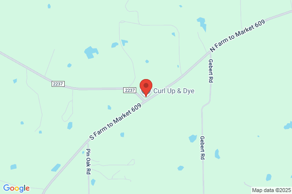 Curl-Up & Dye Salon