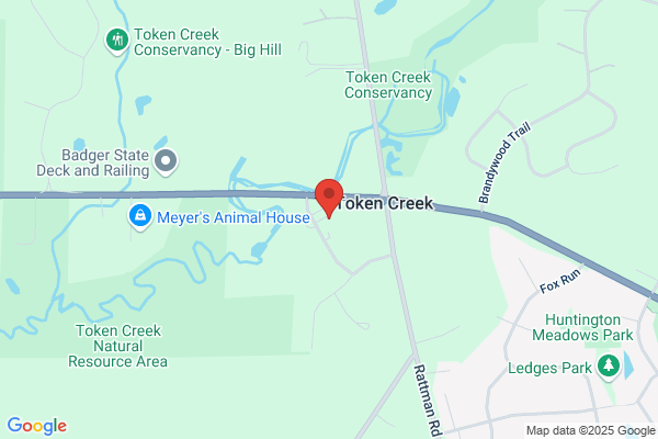Spirits of Token Creek