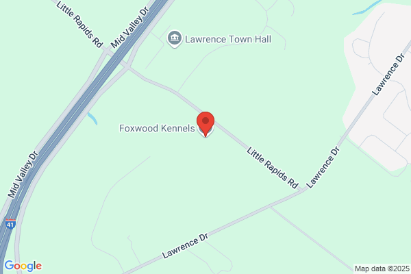 Foxwood Puppies Only