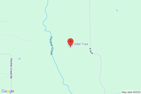 Adel Tree Company