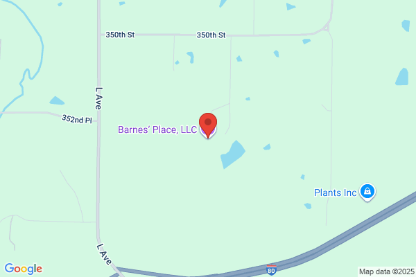 Barnes' Place