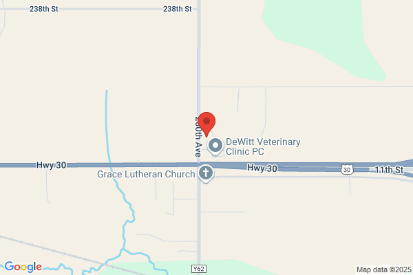 Dewitt Electric Inc