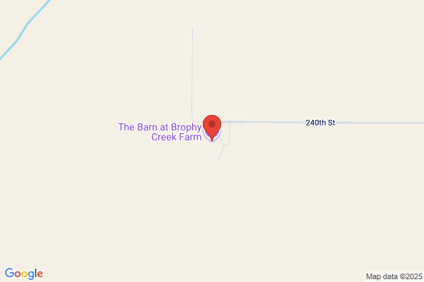 Rons Barn Inc