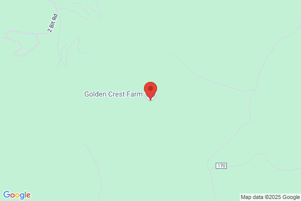 Coletta Tree Farm Inc