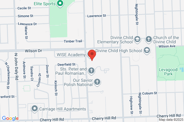 British Swim School of Wise Academy