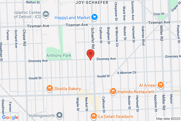 Dearborn Carpet Cleaners