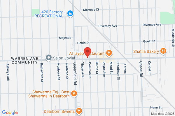 Michigan Electronics