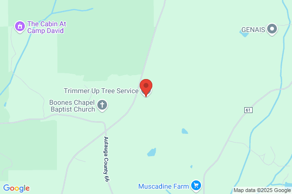 Trimmer Up Tree Service