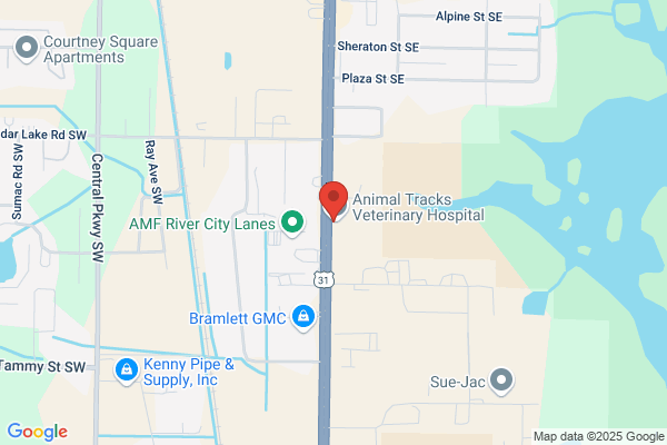 Ashwander Animal Clinic