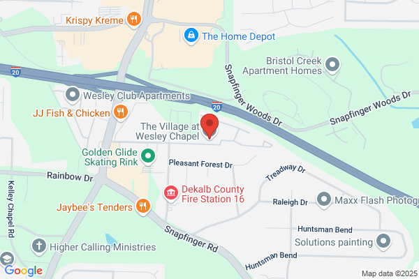 Village At Wesley Chapell the