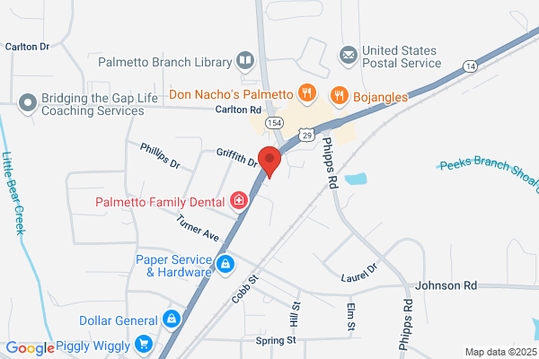 Palmetto Health Council