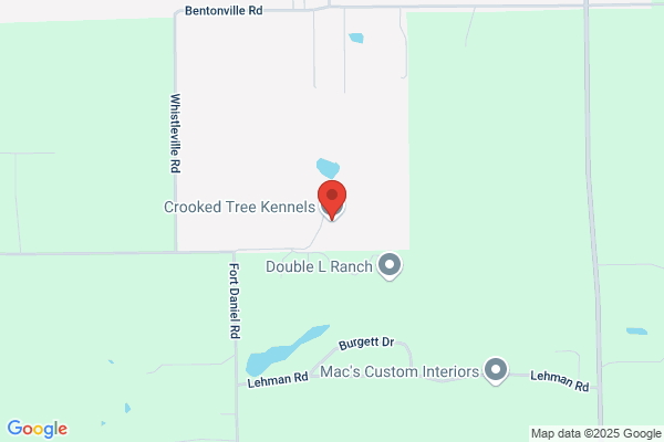 Winterwind Kennels