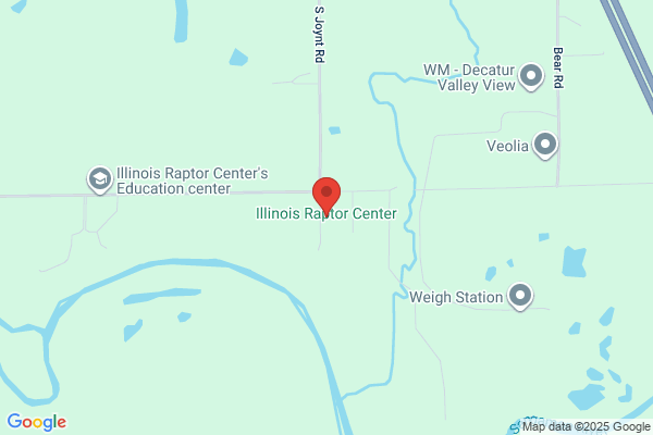 Illinois Raptor Center