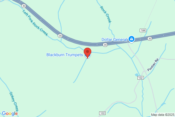 Blackburn Trumpets