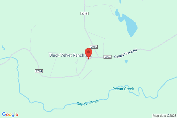 Black Velvet Ranch