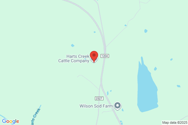 Lanier Cattle Co Inc