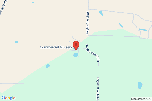 Commercial Nursery