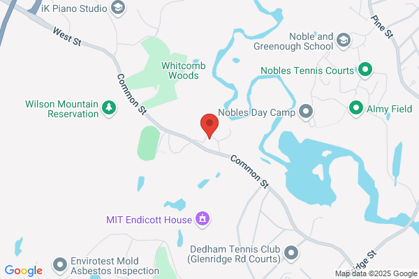 Dedham Town of, Parks and Recreation
