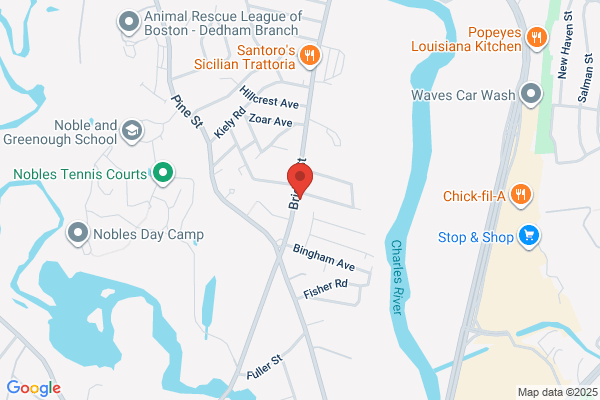 Boston Veterinary Specialists