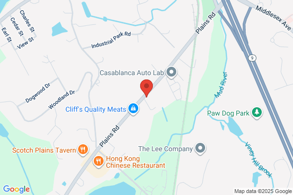 Trabucchi Tree Service